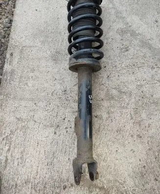 Chrysler 300 - 300C Front shock absorber with coil spring 048956274B