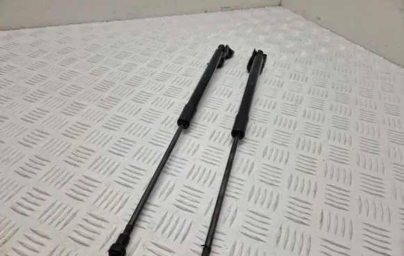 Renault Scenic IV - Grand scenic IV Tailgate/trunk strut/damper 904501992R 904509291R 6047010590N