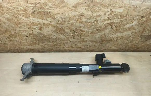 Porsche Cayenne (9Y0 9Y3) Rear shock absorber/damper 442400024332 9Y0513028F E3R033