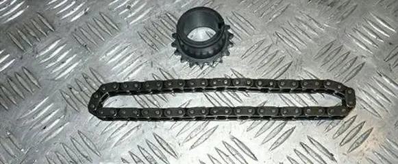 Peugeot 406 Timing chain (engine) 