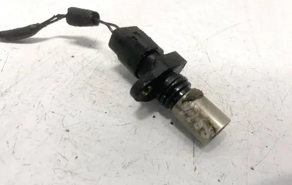 Renault Laguna III Camshaft position sensor 0296001180