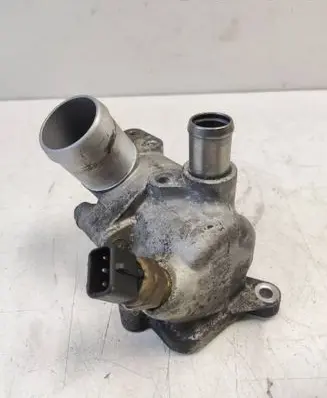 Thermostat/thermostat housing