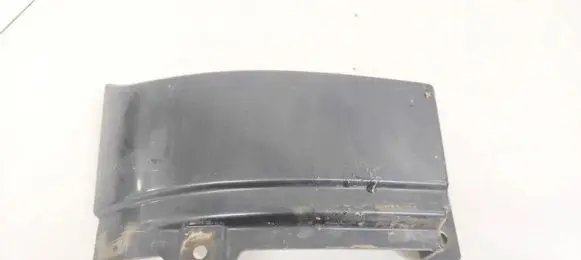 Rear/tail light trim molding