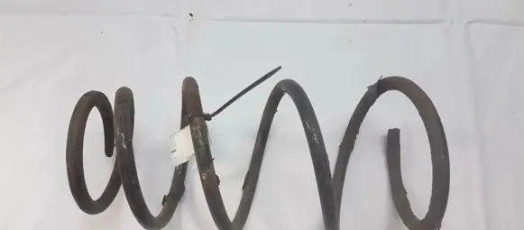 Front coil spring