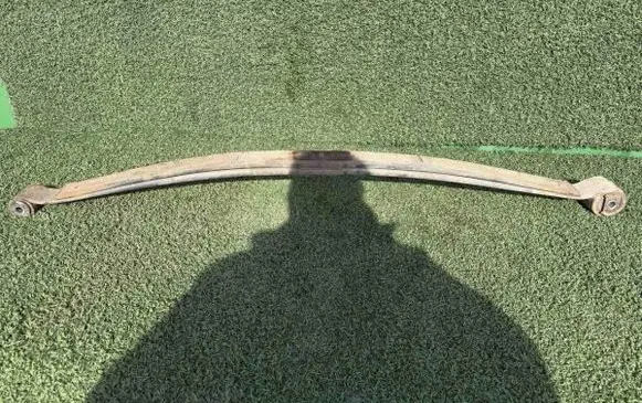 Rear coil spring