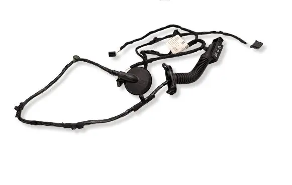 Cupra Born Rear door wiring loom 251755867 TAB051062J