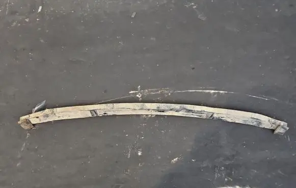 Iveco Daily 3rd gen Front leaf spring IMPRK1403991