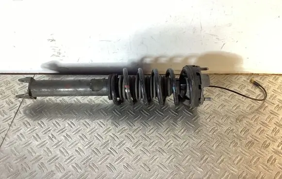 Porsche 911 997 Rear shock absorber with coil spring 99733316100