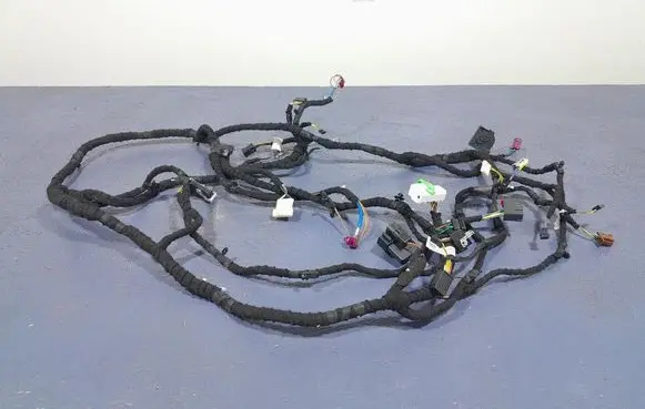 BMW X5 E53 Other wiring loom 9833815