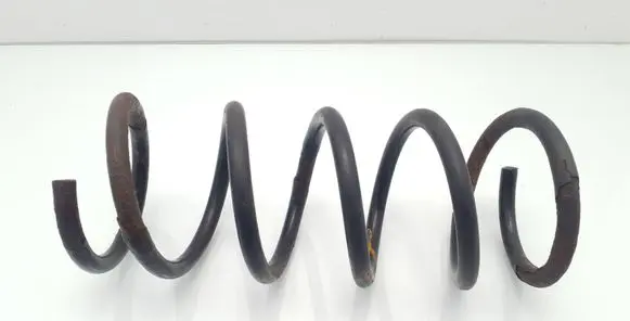 Rear coil spring