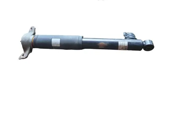 Opel Insignia A Rear shock absorber/damper 13319753 22961775