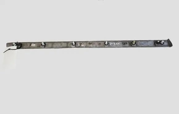 Citroen C5 Rear door trim (molding)