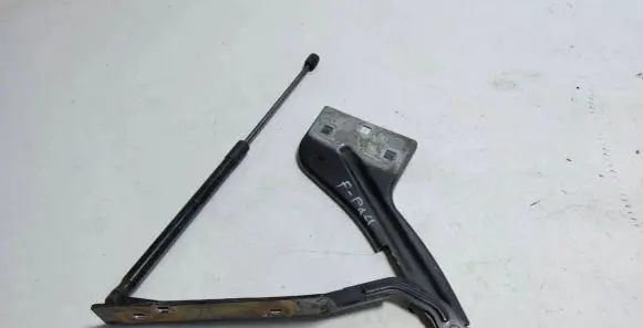 Jaguar F-Pace Engine bonnet/hood hinges HK8316800