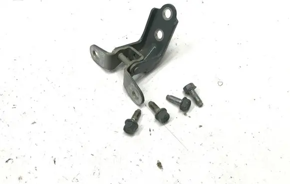 KIA Picanto Rear door lower hinge