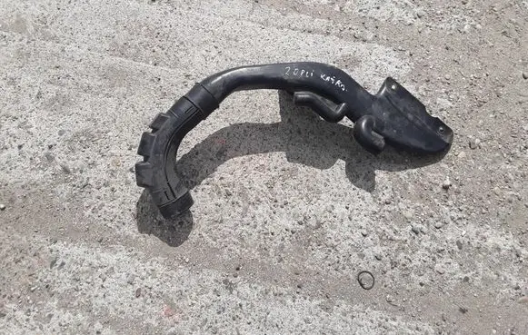 Nissan Qashqai Intercooler hose/pipe 1026919S01
