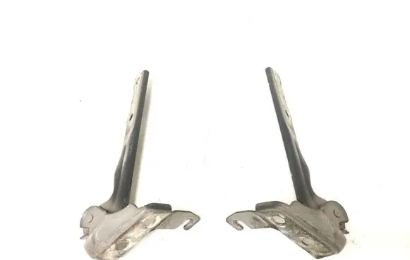 Volkswagen Tiguan Engine bonnet/hood hinges 5N0823301A