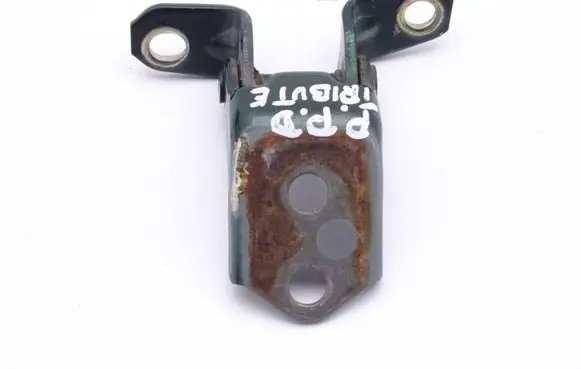 Mazda Tribute Front door hinge set 