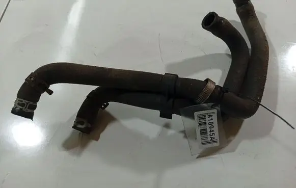Nissan Almera Tino Engine coolant pipe/hose 