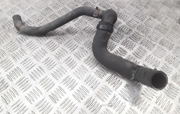Renault Laguna III Engine coolant pipe/hose 215010002R