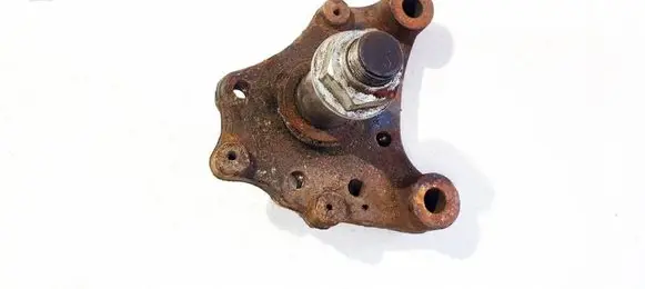 Renault Trafic II (X83) Stub axle 8200050016