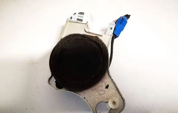 Lexus IS 220D-250-350 Front door speaker 861600we00