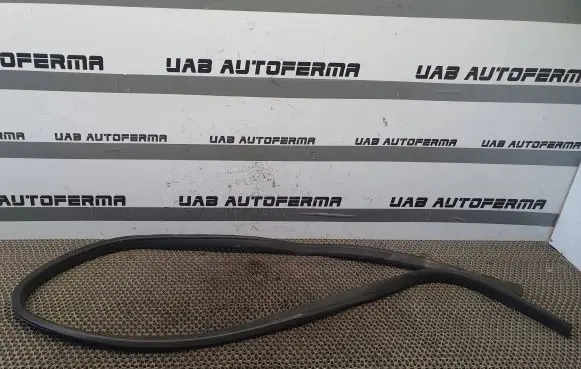 Ford Focus Front door rubber seal