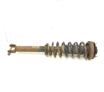 Chevrolet Epica Rear shock absorber with coil spring 96639689 7441254