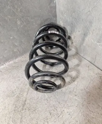 Rear coil spring