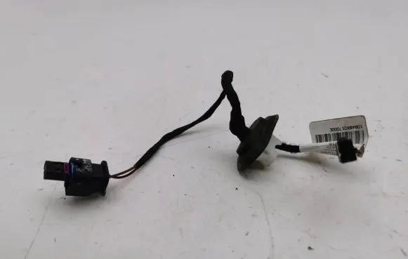 Other wiring loom