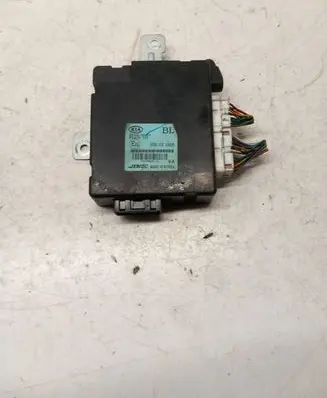 KIA Sorento Other control units/modules 954003E310 S510900200 10R021806