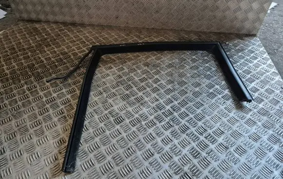 Seat Leon (1P) Rubber seal rear door window/glass