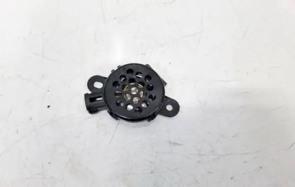 Tesla Model S Front door speaker
