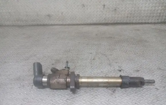 Citroen C4 Grand Picasso Fuel injector 9658194180
