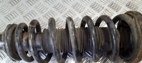 Front coil spring