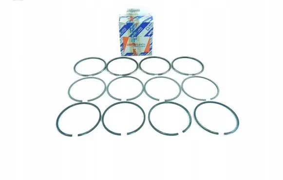 Fiat Croma Piston ring 5888540