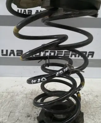 Hyundai i20 (PB PBT) Rear coil spring