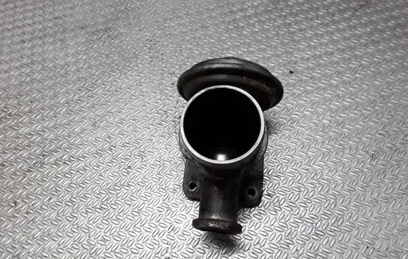 BMW 5 E39 EGR valve 7785452