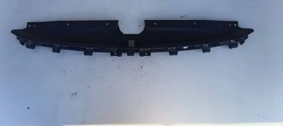 Engine bonnet/hood lock trim molding