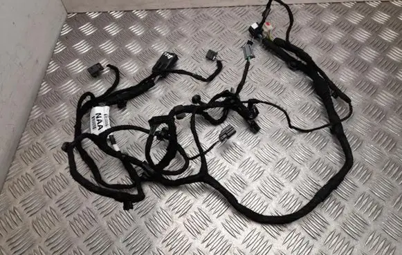 Ford Mustang Mach-E Other wiring loom NJ8T14B079