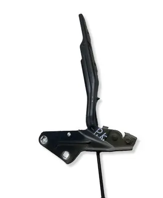 Dodge RAM 1500 DS Engine bonnet/hood hinges 