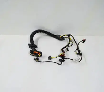 Porsche Cayenne (92A) Front door wiring loom 7P5971161B