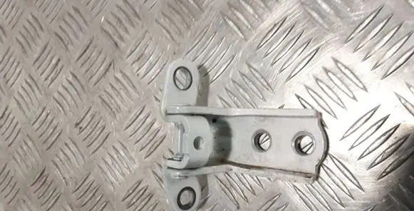 Rear door lower hinge