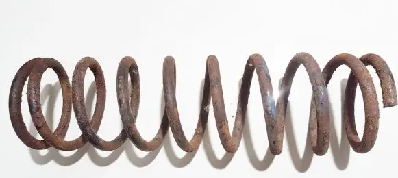 Honda Accord Rear coil spring