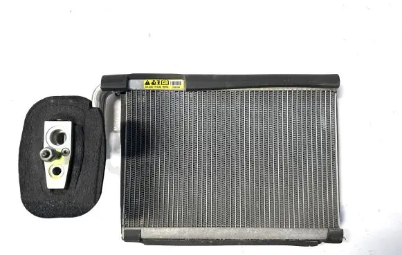 Chrysler Pacifica Air conditioning (A/C) radiator (interior) 68308982AA 68581303AA 68308980AA