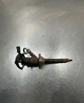 Citroen Berlingo Fuel injector 0445110297