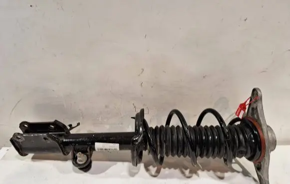 Fiat 500X Rear shock absorber/damper 0520258540