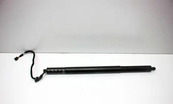Tailgate/trunk strut/damper
