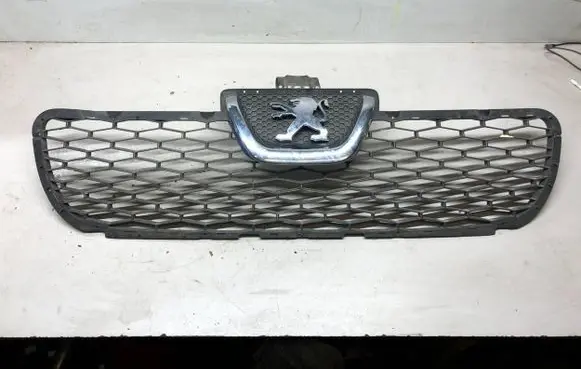 Peugeot Boxer Front grill 1306599070