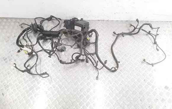 Nissan Qashqai Other wiring loom 24012JD12C 55NA40500