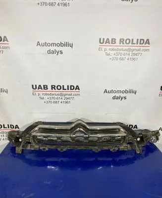Citroen DS4 Front grill 9688185377